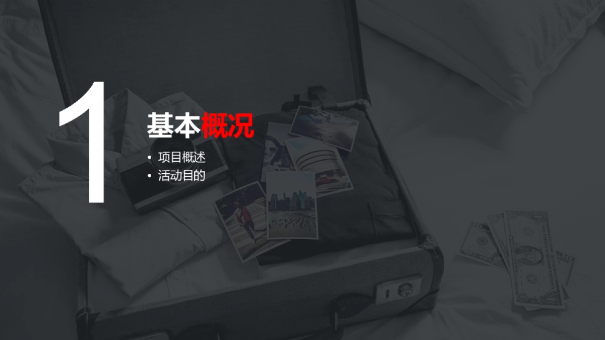 华为十一活动策划-提报方案-天诺_第3页