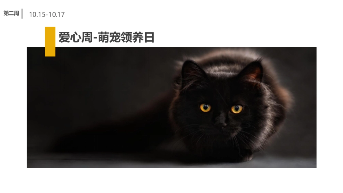 商业广场10月国庆月主题活动策划方案_第10页