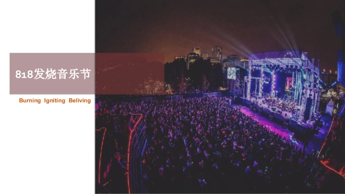 苏宁广场国庆方案及总结_第2页