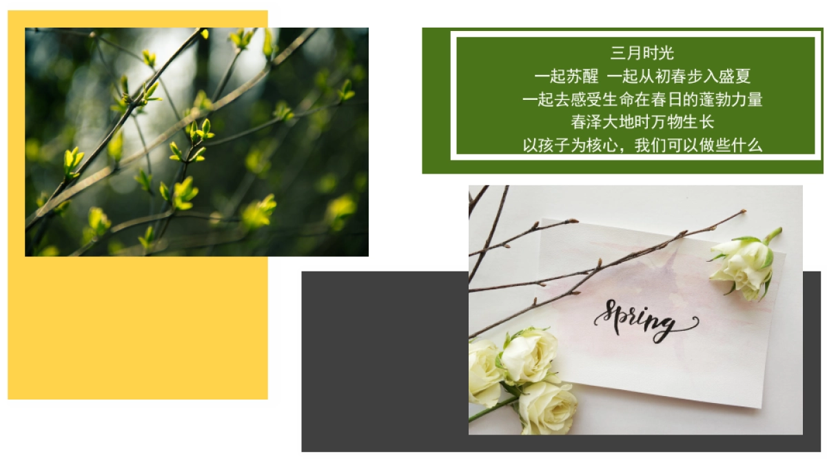 新天泽国际购物广场荟春夏趣集市营销活动案_第2页