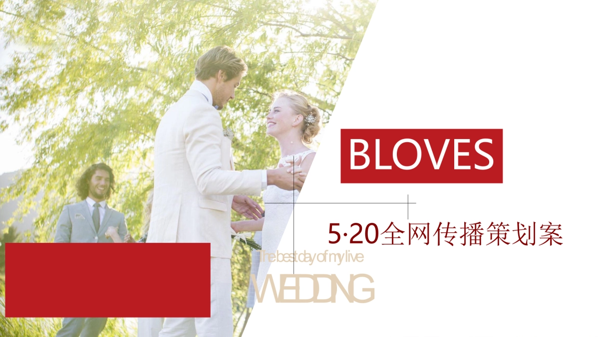 珠宝品牌BLOVES·520情人节线上传播策略方案_第1页