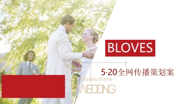 珠宝品牌BLOVES·520情人节线上传播策略方案