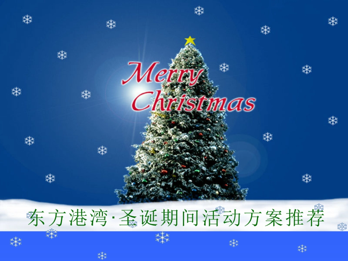 东方港湾圣诞期间活动方案_第2页