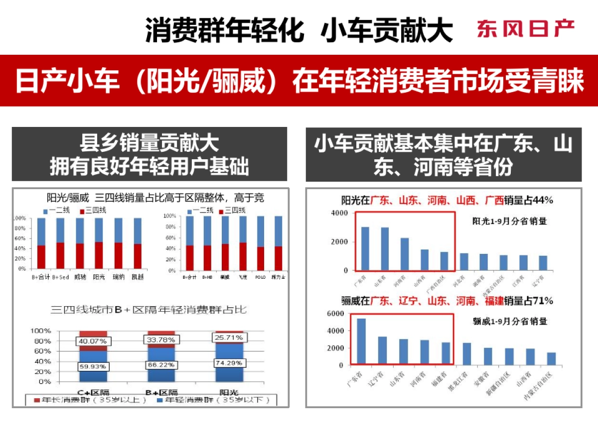 东风日产春节前县乡深耕方案规划_第5页