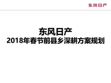 东风日产春节前县乡深耕方案规划