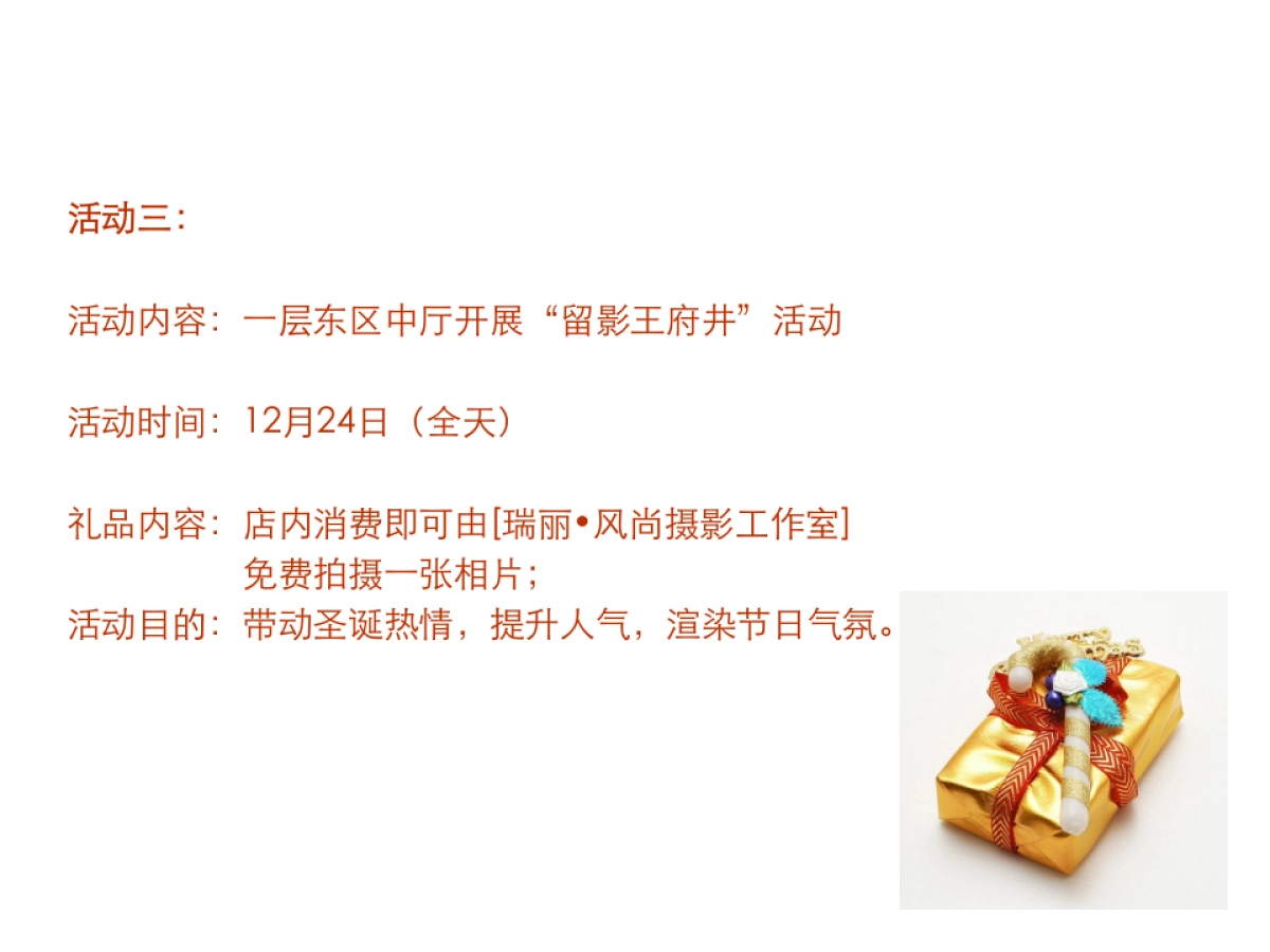 王府井百货太原店 圣诞节推广方案_第10页