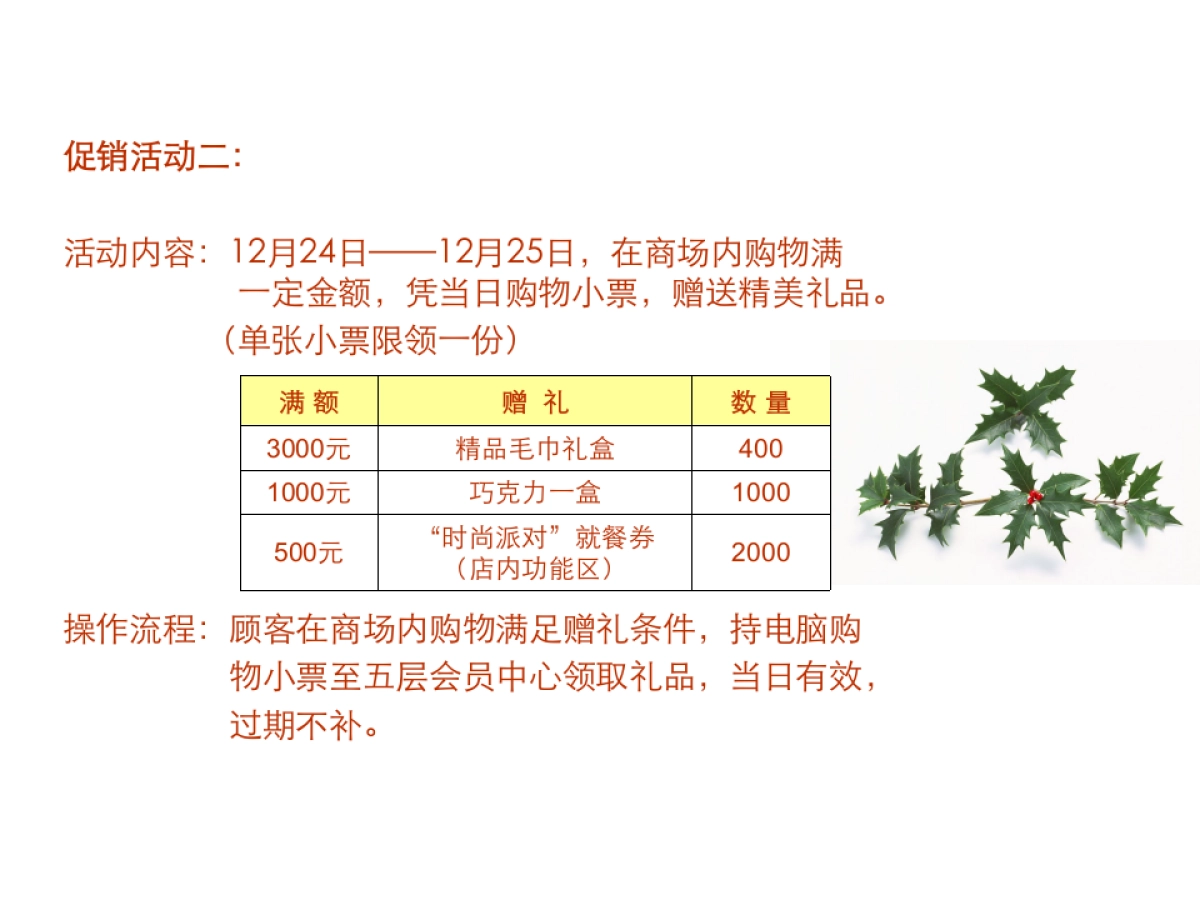 王府井百货太原店 圣诞节推广方案_第7页