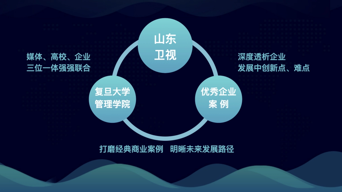 山东卫视2021《无边界商学院》节目方案_第6页