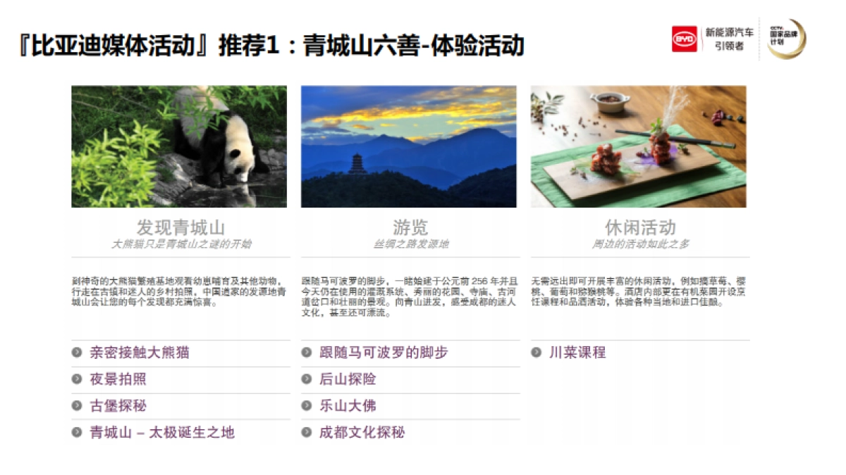 【蓝色光标】比亚迪媒体活动接待方案_第3页