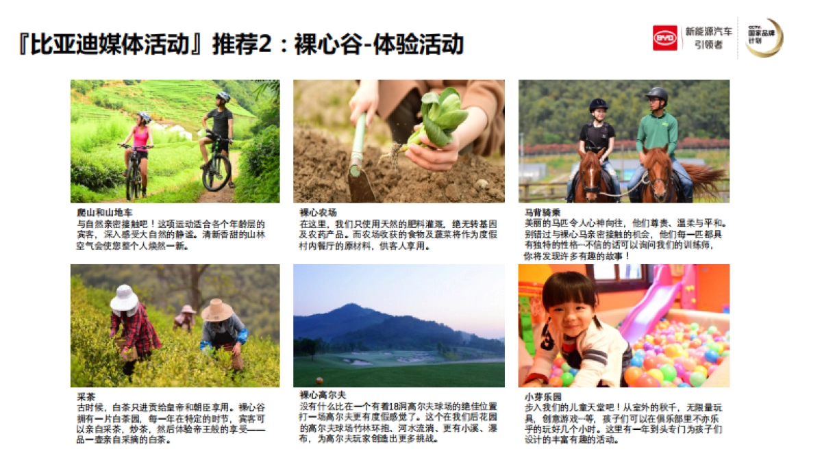 【蓝色光标】比亚迪媒体活动接待方案_第5页