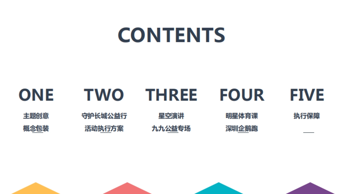 99公益日明星系列活动策划方案_第2页