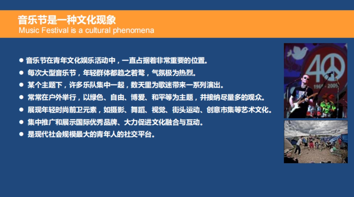 2016-MIDI-迷笛系列音乐节介绍_第7页