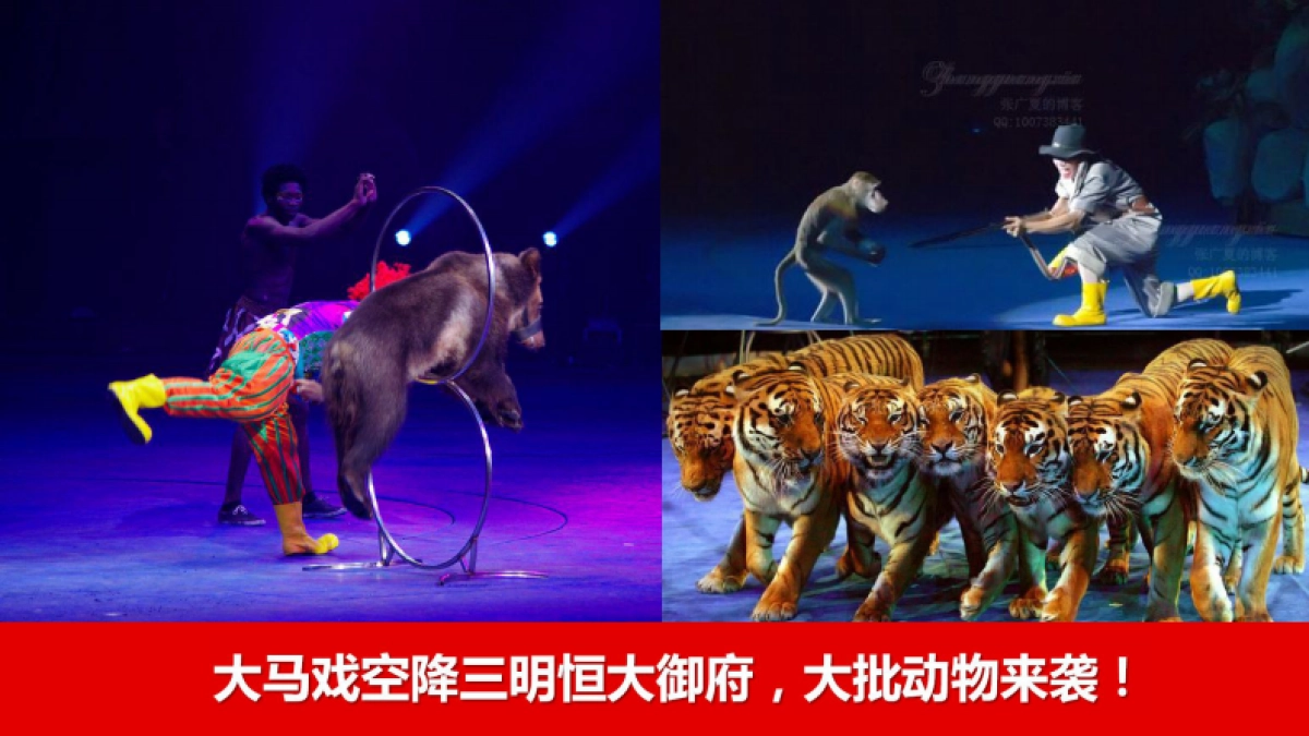 2017三明恒大御府大马戏嘉年华活动方案_第2页