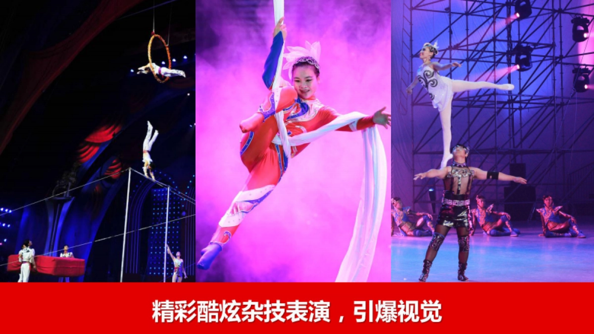 2017三明恒大御府大马戏嘉年华活动方案_第3页