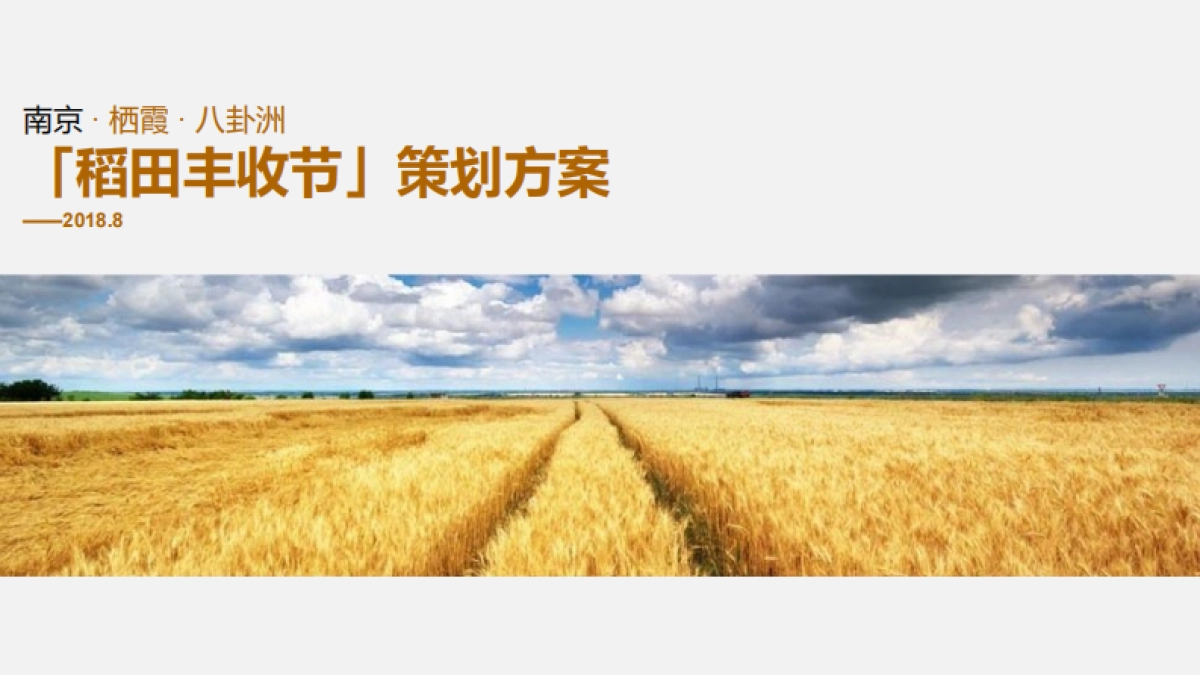 2018稻田丰收节系列活动策划方案 _第1页