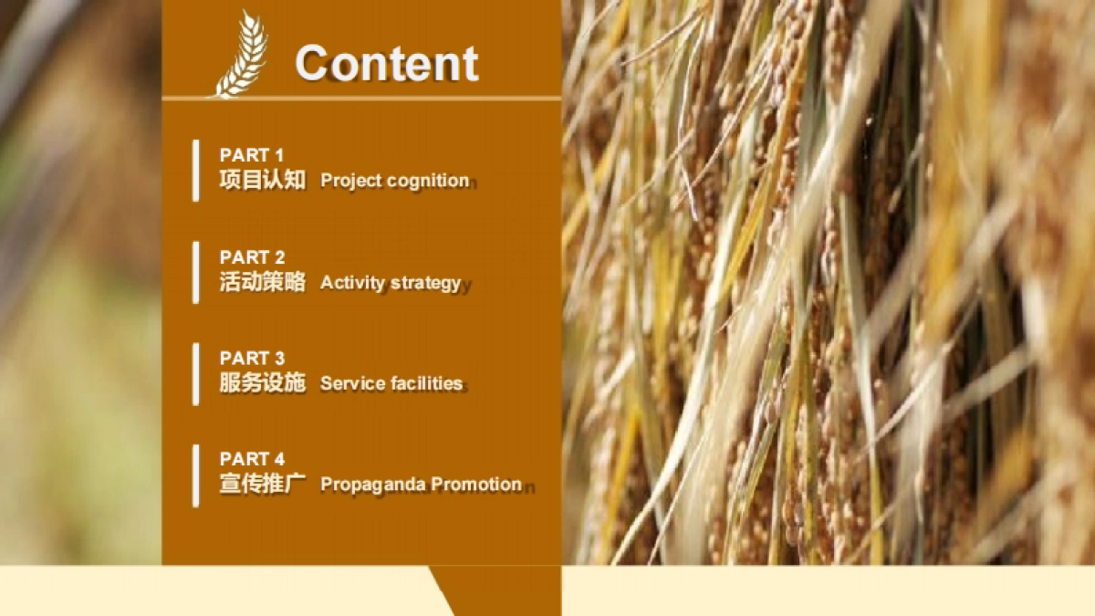 2018稻田丰收节系列活动策划方案 _第2页