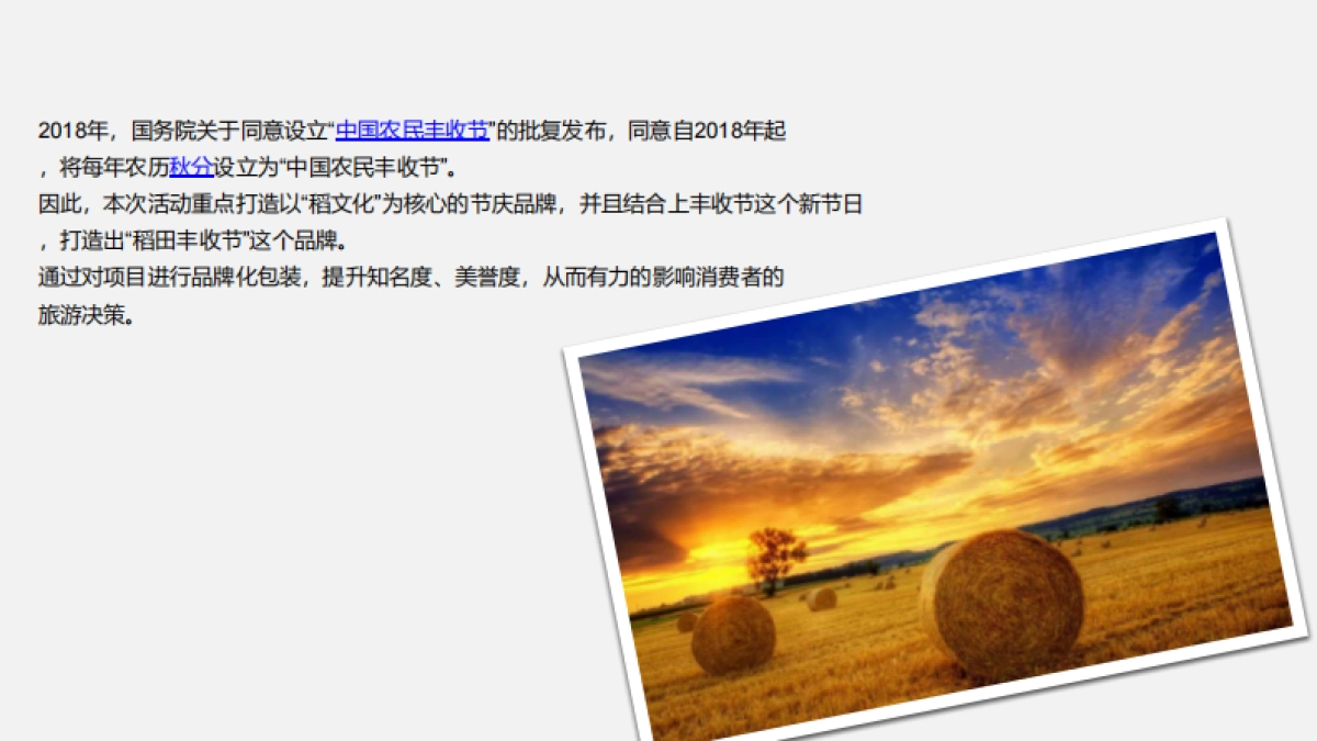 2018稻田丰收节系列活动策划方案 _第4页