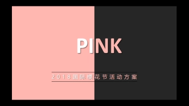 2018国际樱花节86.活动方案