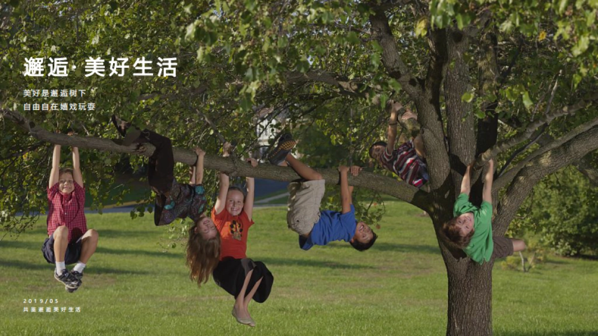 2019恒大海上威尼斯五一万国嘉年华狂欢节活动方案——南京施琅_第2页