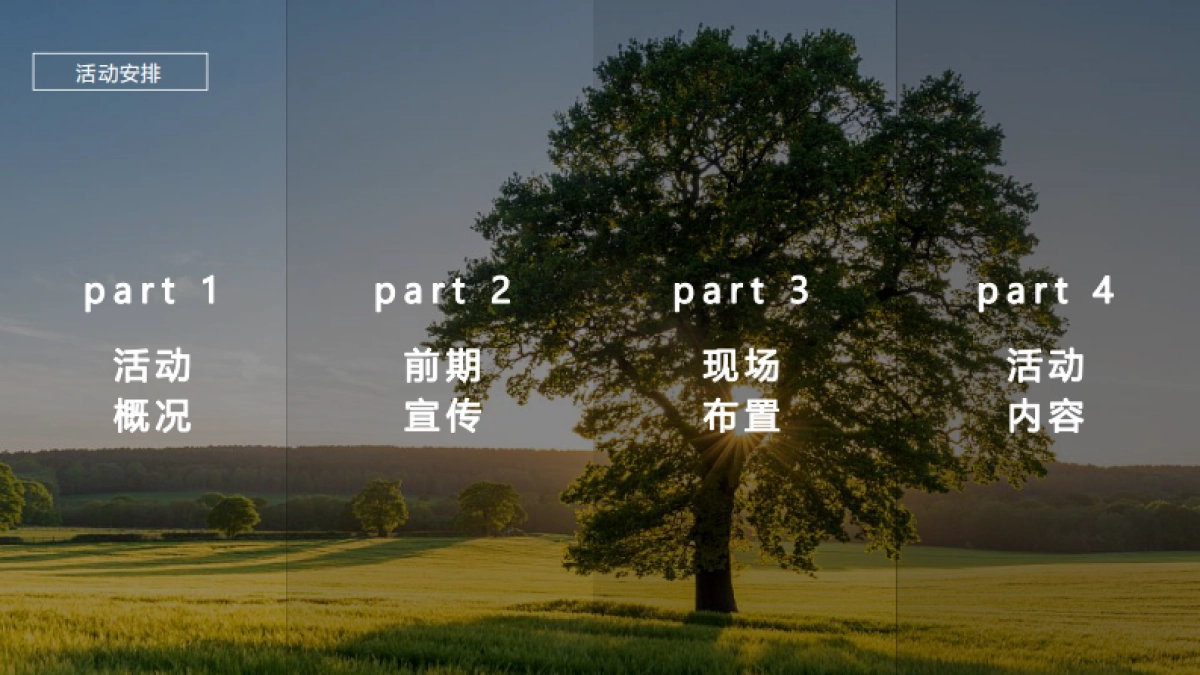 2019恒大海上威尼斯五一万国嘉年华狂欢节活动方案——南京施琅_第5页