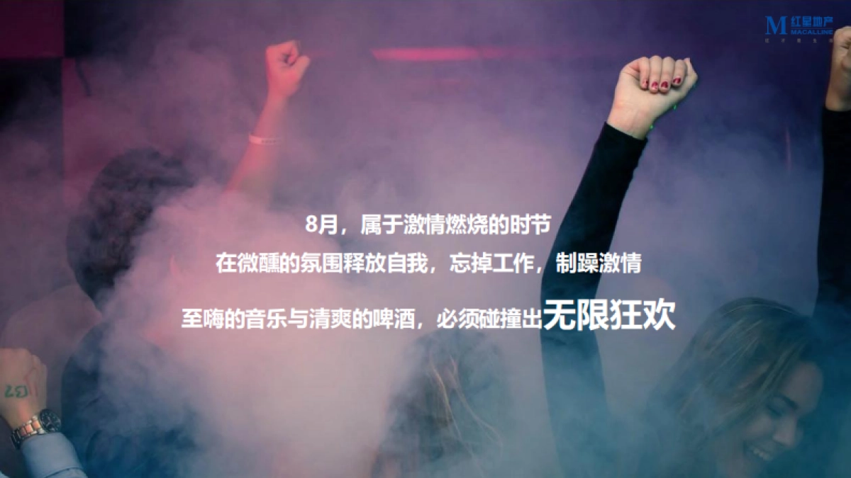 2020百威啤酒品牌音乐节(制躁主题)活动策划方案_第2页