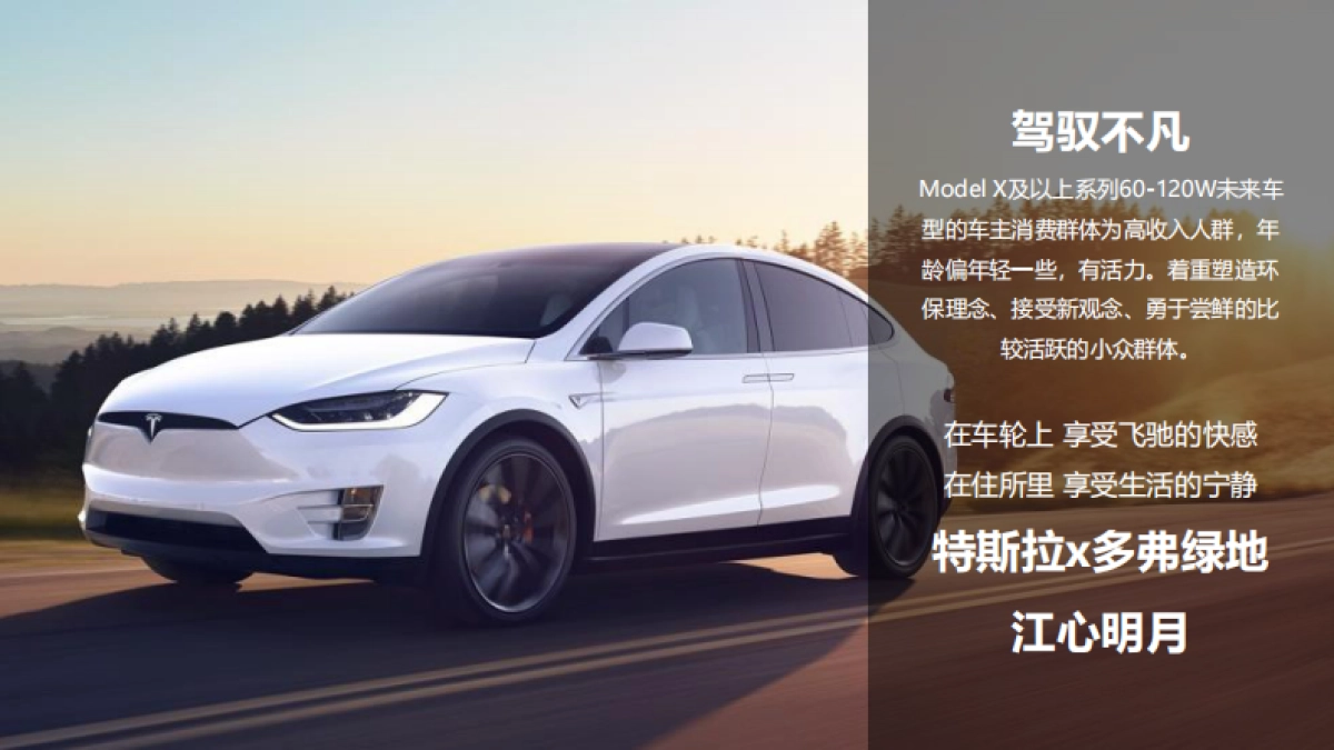 2022特斯拉圈层活动策划方案_第8页