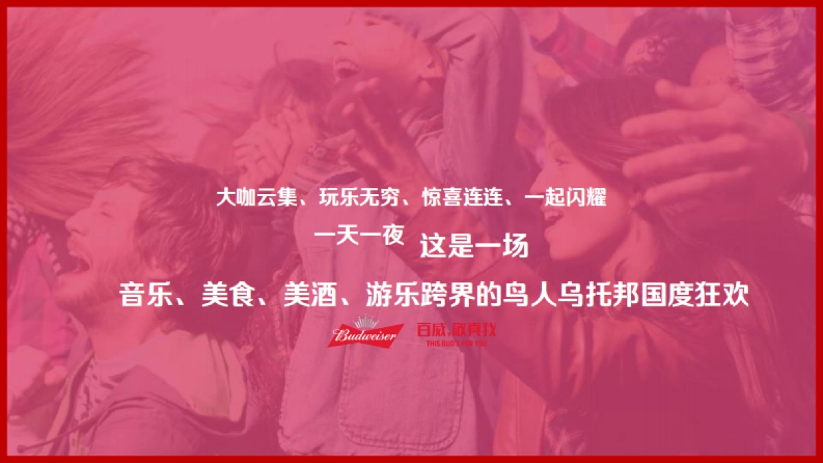 百威鸟人音乐节_第2页