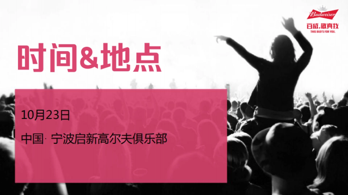 百威鸟人音乐节_第3页