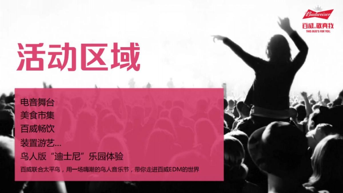 百威鸟人音乐节_第5页