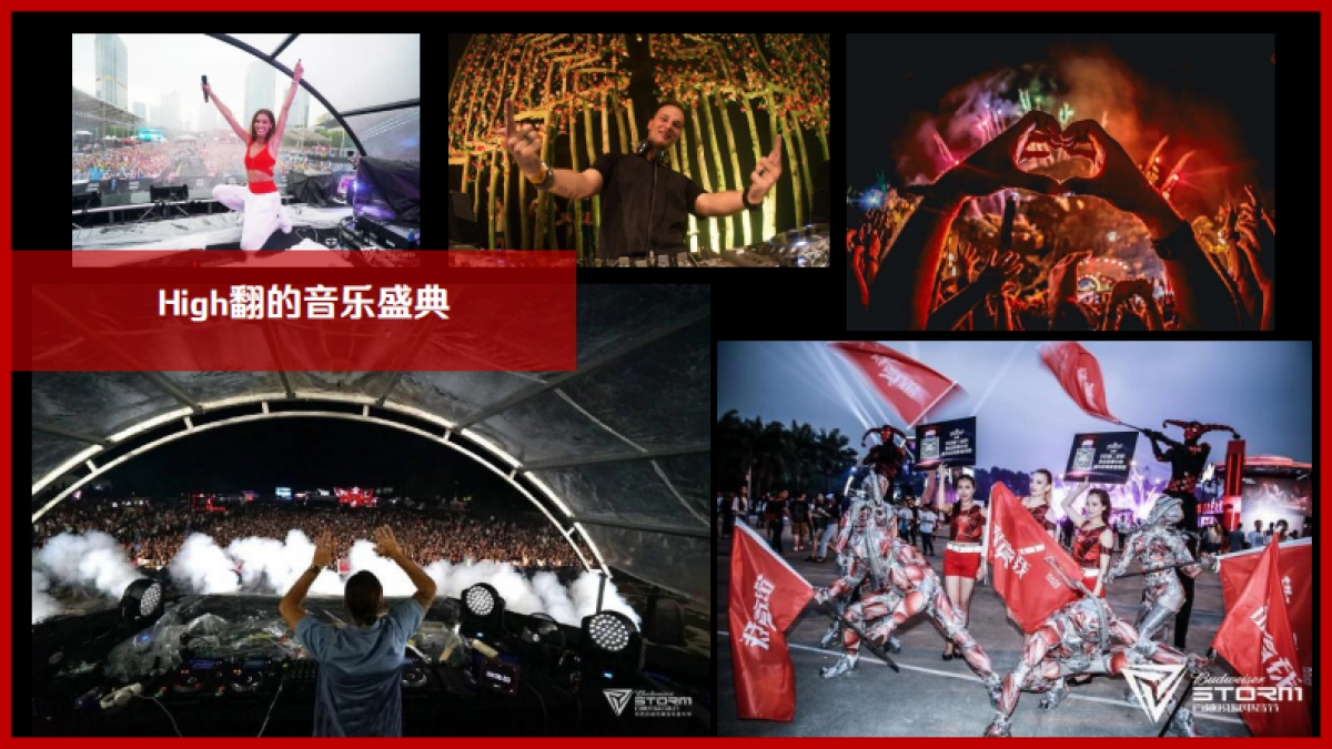 百威鸟人音乐节_第8页