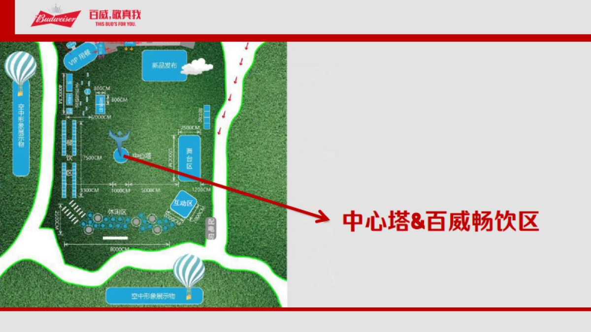 百威鸟人音乐节_第9页