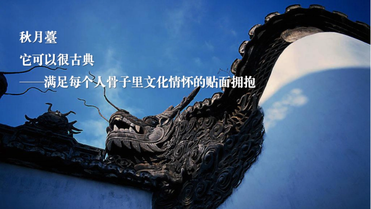 涪州贵府脉风雅秋月台-示范区开放日活动方案_第3页