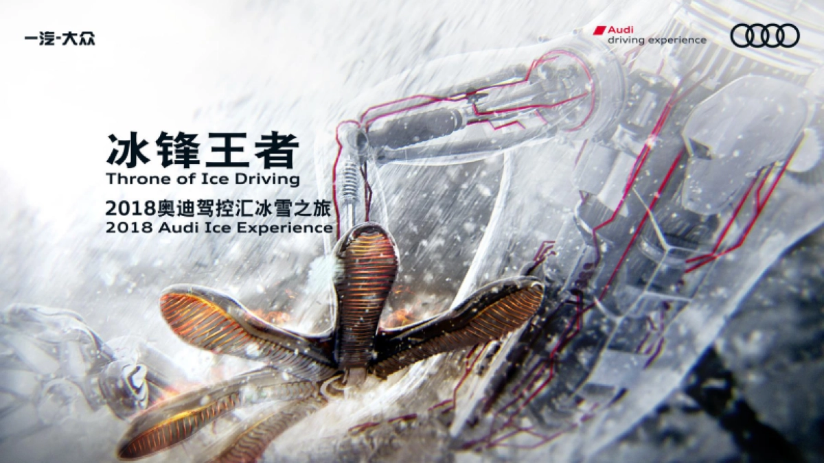 汇报2018奥迪冰雪嘉年华（ADE冰雪体验）方案_第2页