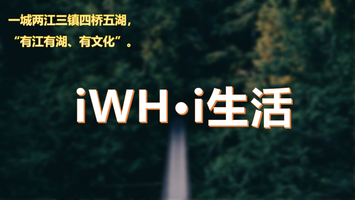 2017HQ城环湖预热马拉松活动方案_第6页