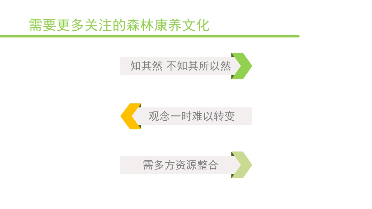 2017白马森林音乐节策划案_第4页