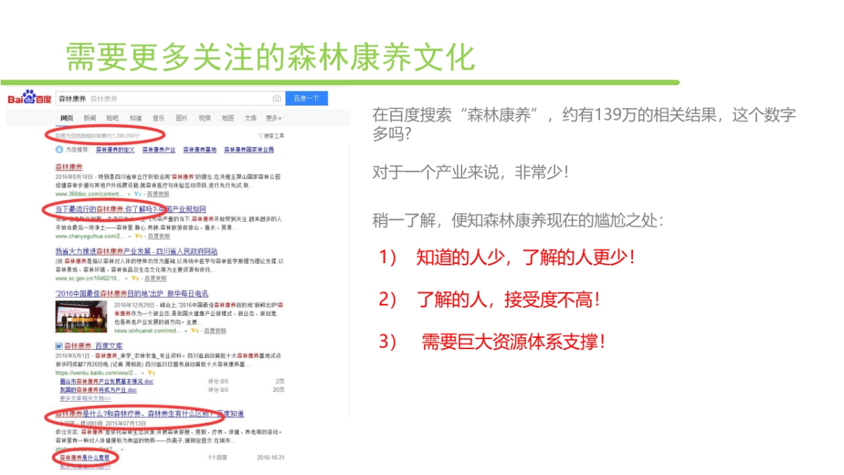 2017白马森林音乐节策划案_第5页