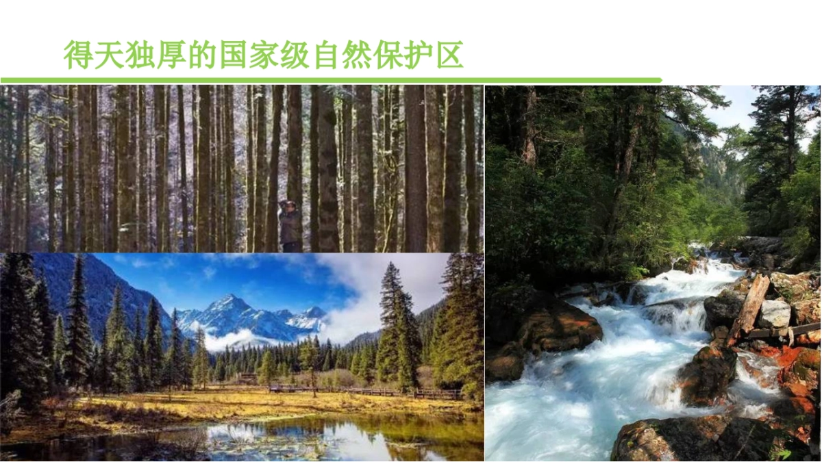 2017白马森林音乐节策划案_第9页