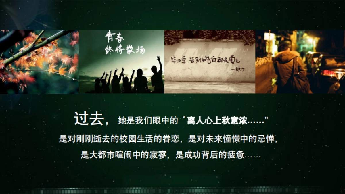 直面自我，勇敢爱 草地音乐节_第10页