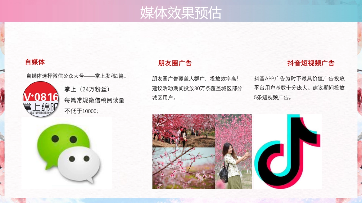 “美不过·醉花间”226.2019第二届百花乐园百花节活动策划方案_第5页