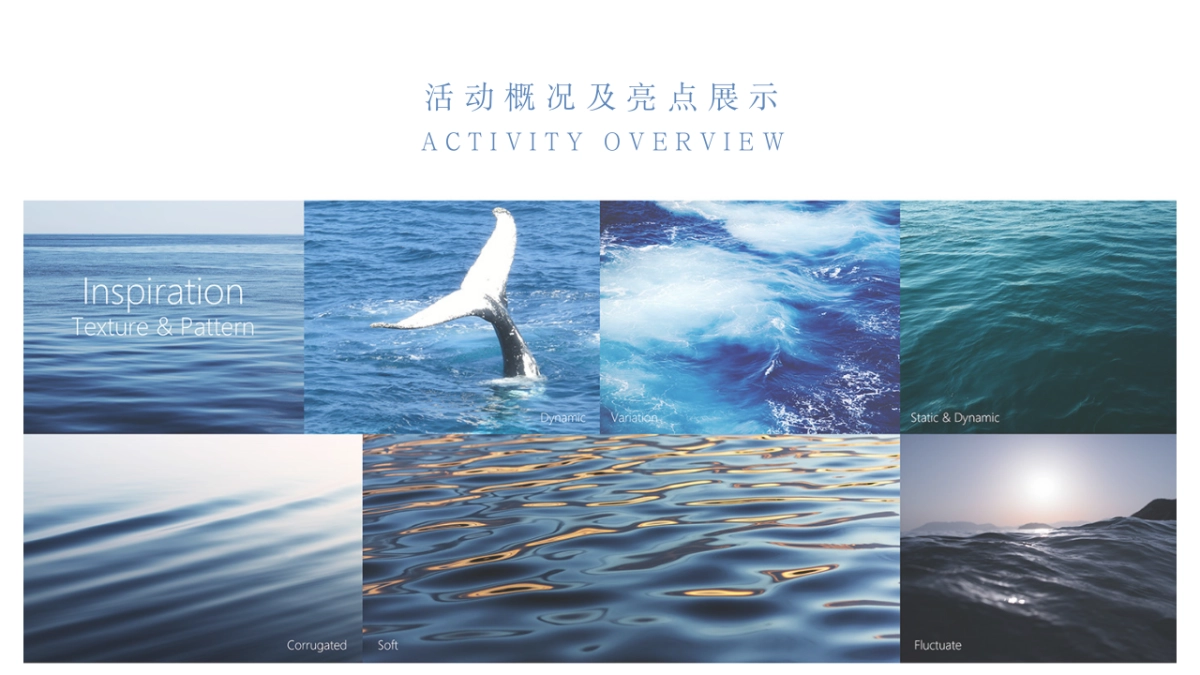 「盛夏海洋节」活动策划方案_第3页