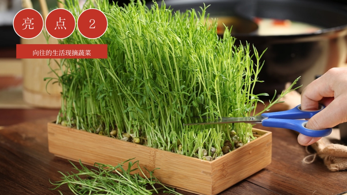 12月初冬暖场冬日里的第一场火锅主题活动策划方案_第10页