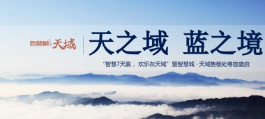 2017智慧城天域售楼处开放活动方案