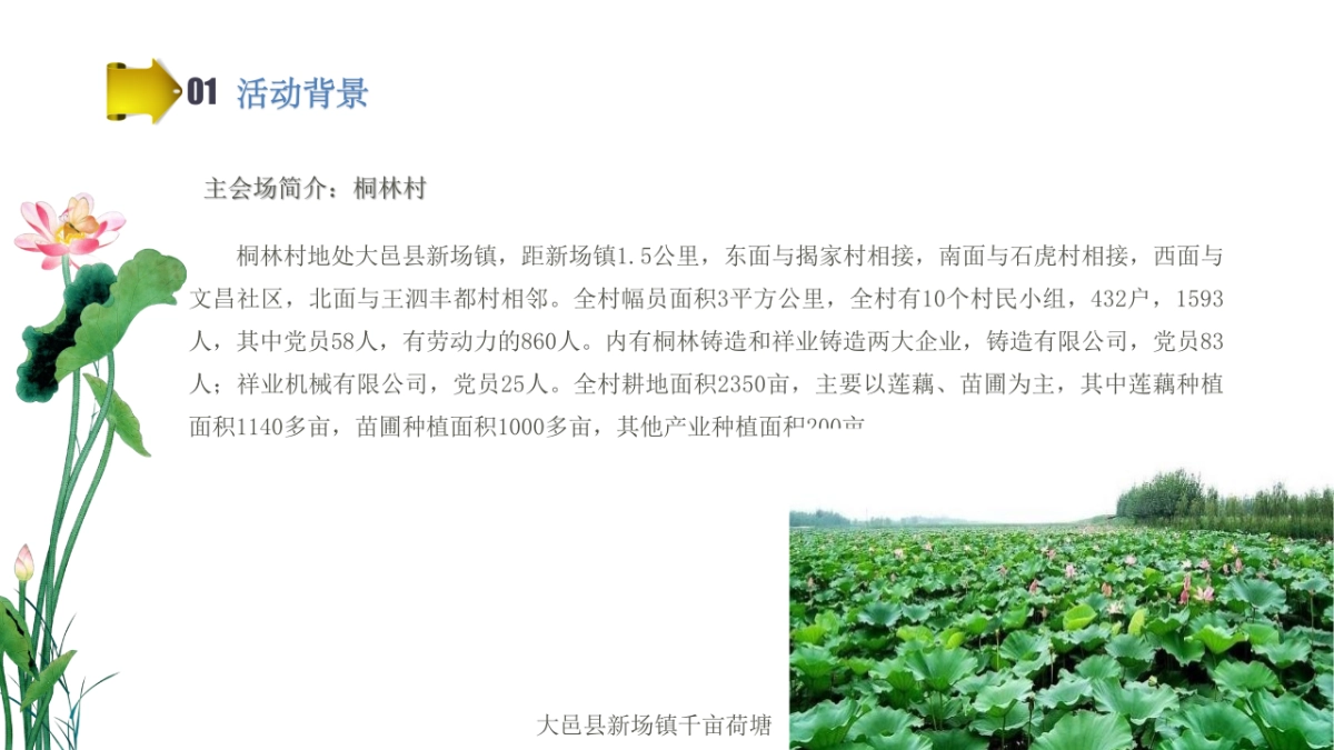 2017中国大邑县67.新场镇首届荷花旅游节活动方案_第5页