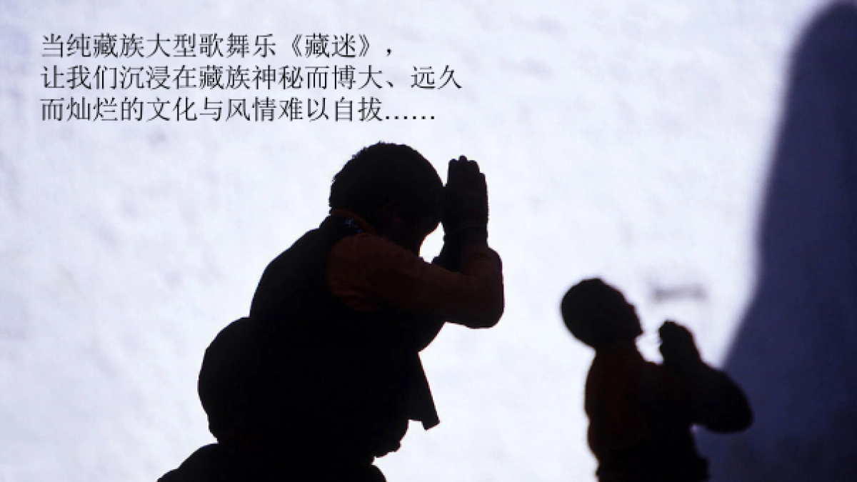 2017中信庐山西湖全球首发活动方案_第8页