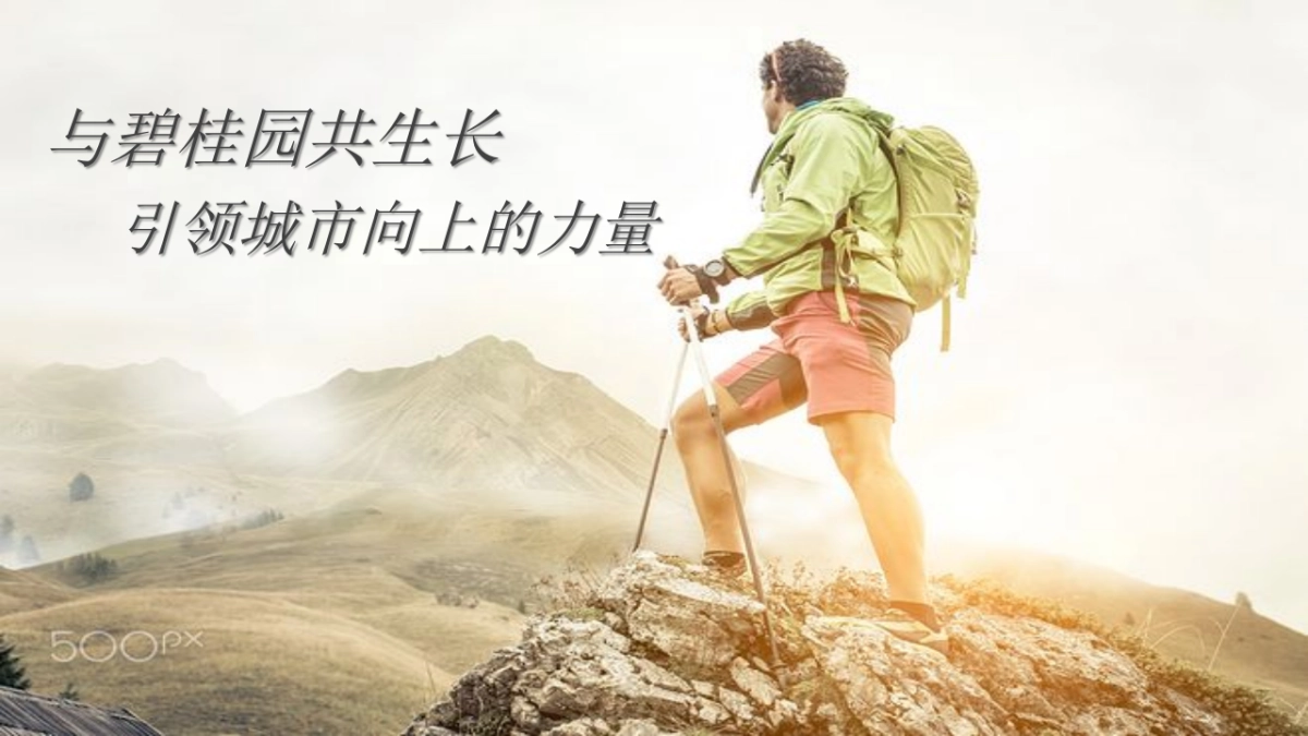 2017碧桂园登山节活动方案_第2页