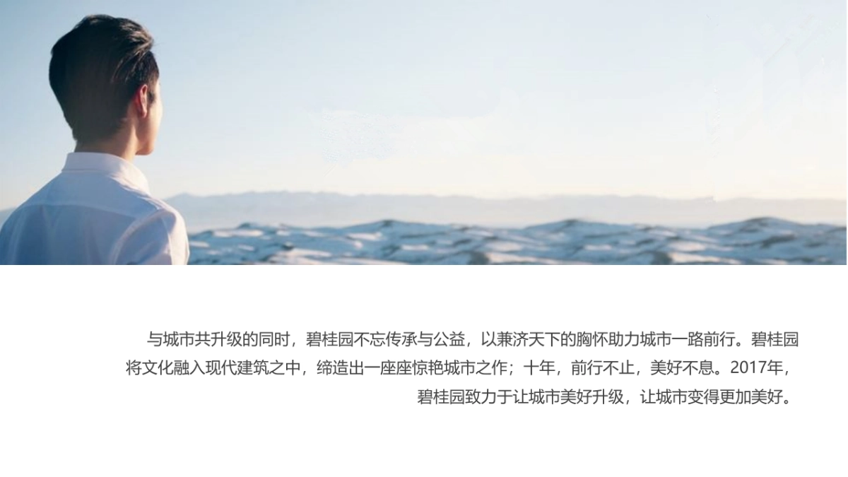 2017碧桂园登山节活动方案_第3页