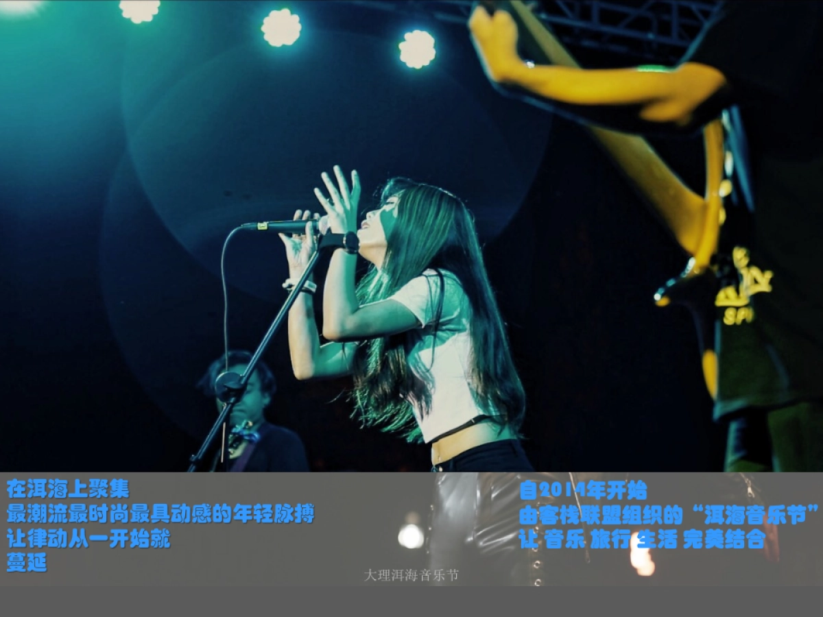 2017大理洱海音乐节策划方案_第2页