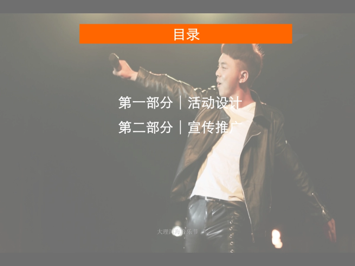 2017大理洱海音乐节策划方案_第6页