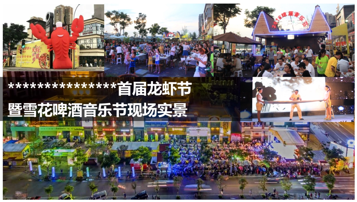 2017东原城番玖台绵阳第二届龙虾节暨雪花啤酒音乐节策划案_第5页