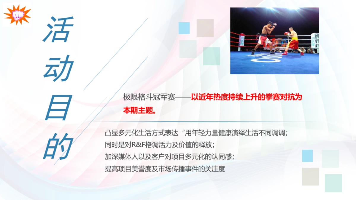 2017极限格斗冠军赛活动方案_第5页